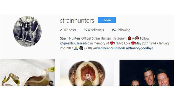 Strain Hunters