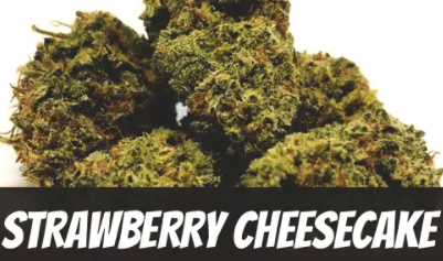 Strawberry-Cheesecake