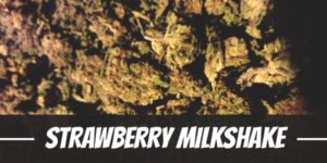 Strawberry Milkshake