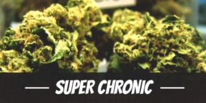 Super Chronic
