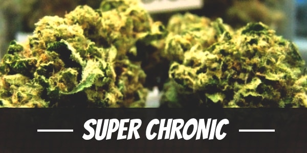 Super Chronic