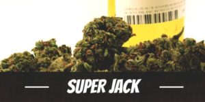 Super Jack
