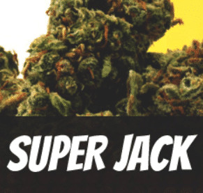 Super Jack