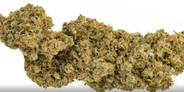 Super-Silver-Haze