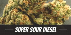 Super Sour Diesel