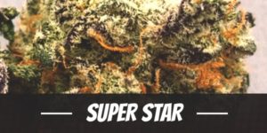 Super Star