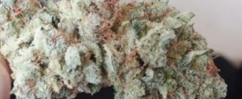 Super Sour Widow Adverse Reactions 