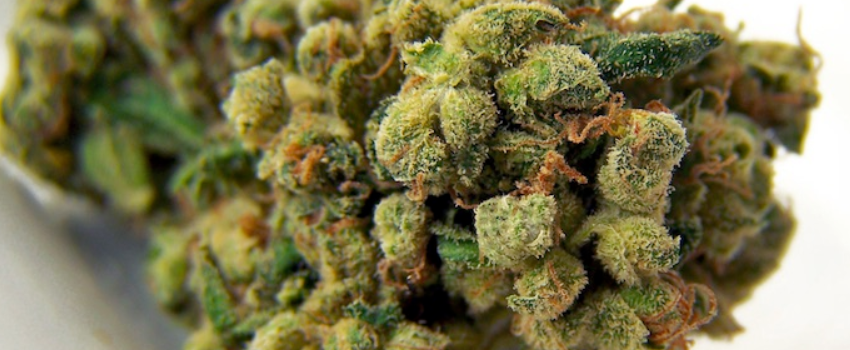 Super Sour Widow Medical