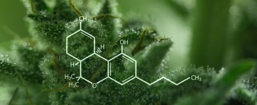 THC