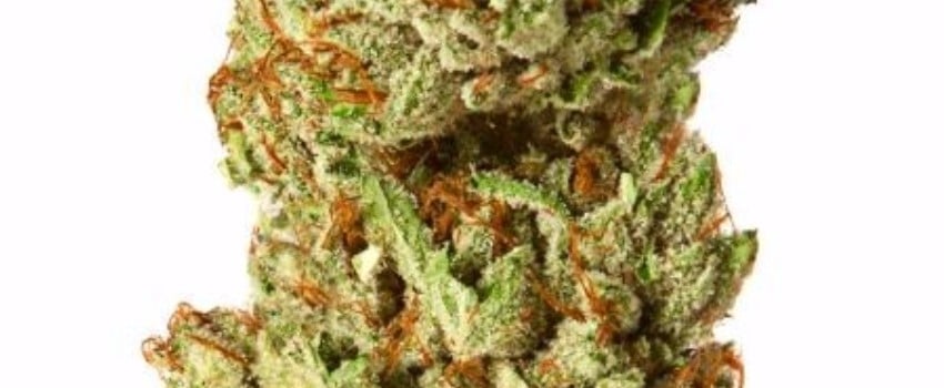 Tangerine Power Adverse Reaction