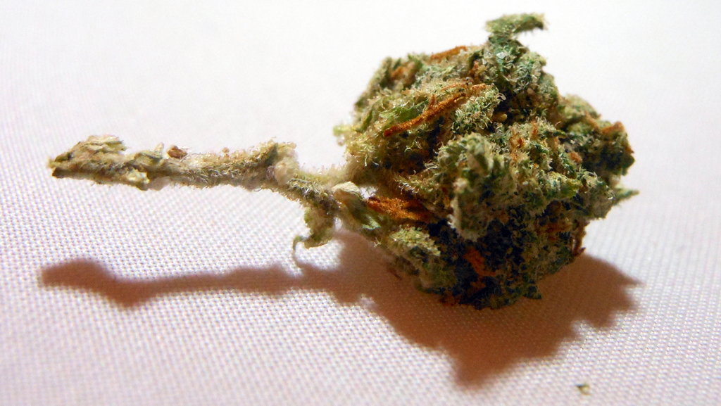 Tangerine-kush-strain