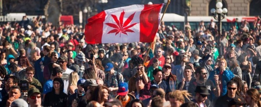 The Fight for Legalization Today