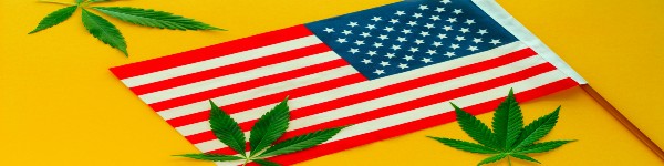 The History of Cannabis Laws