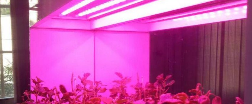 The Lighting Combination