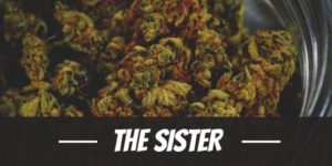 The Sister Strain