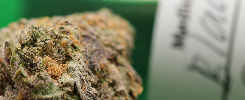 The_Medical_Black_Diamond