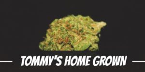 Tommy’s Home Grown