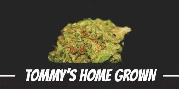 Tommy’s Home Grown