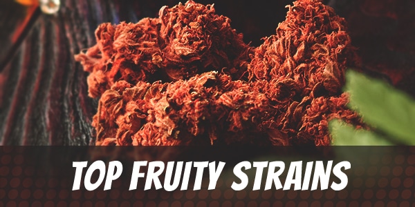 Top Fruity Strains