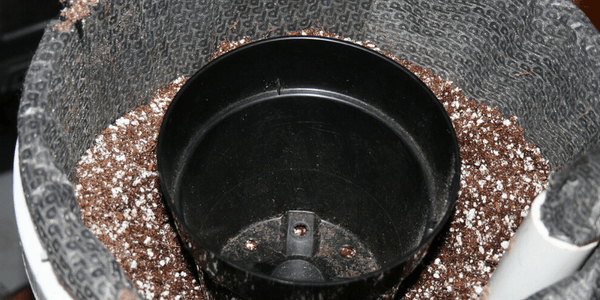 Transplanting marijuana plant Step 3
