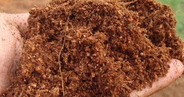 Types of Coco Coir