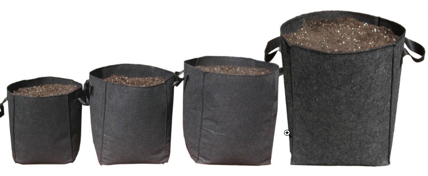 Marijuana Container