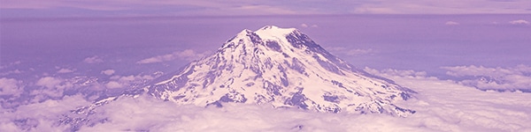 Washington Recreational Marijuana