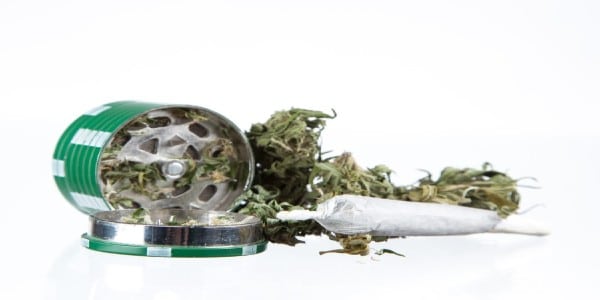 Weed in grinder