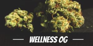 Wellness OG