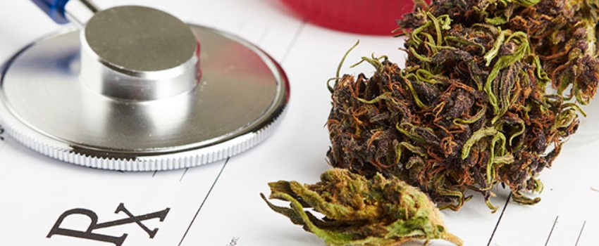 What are its medical uses