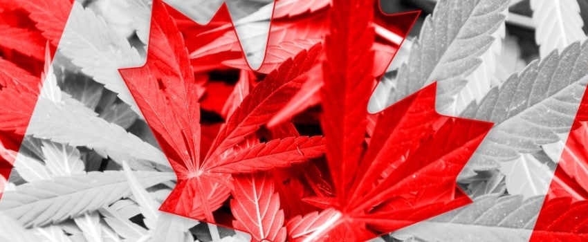 What does this new legislation allow?