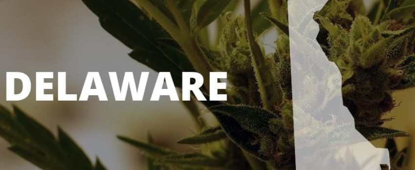 When was cannabis made legal