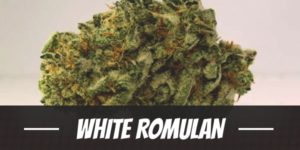 White Romulan