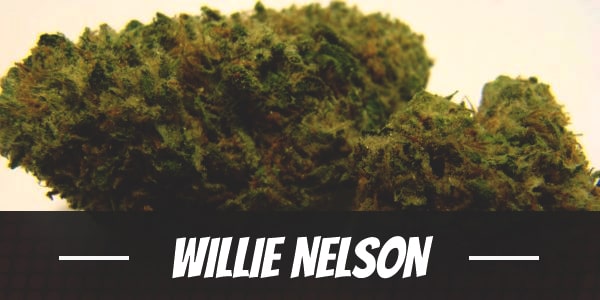 Willie Nelson