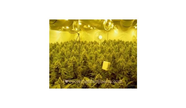 best lighting systems