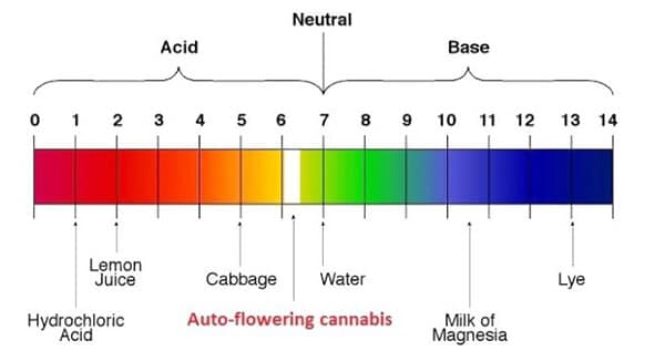 Ensuring the correct pH levels