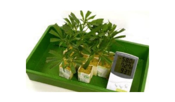 create ideal temperature