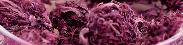 grape pie strain effects