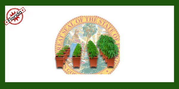 growing marijuana in florida