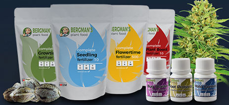marijuana grow nutrients
