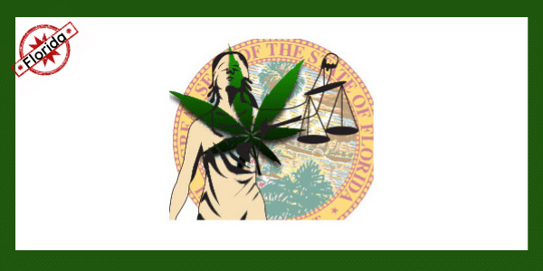 marijuana laws florida