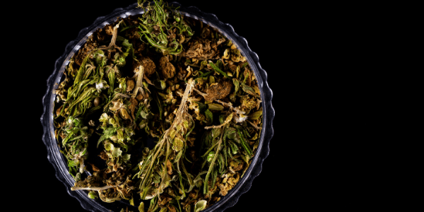 Medical Marijuana