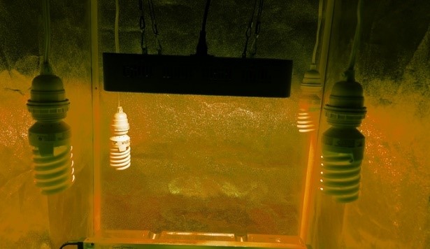grow tent