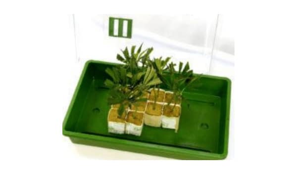 put them in a propagator