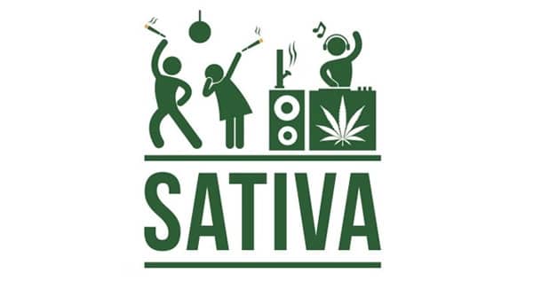 sativa marijuana type effect