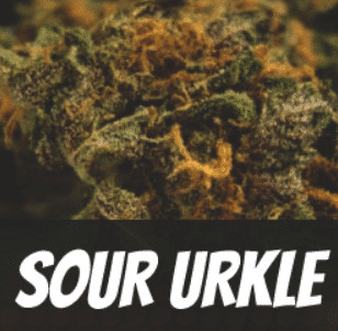 Sour Urkle Strain