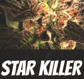 Star Killer Strain