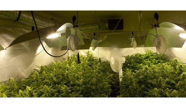 Proper ventilation and air flow