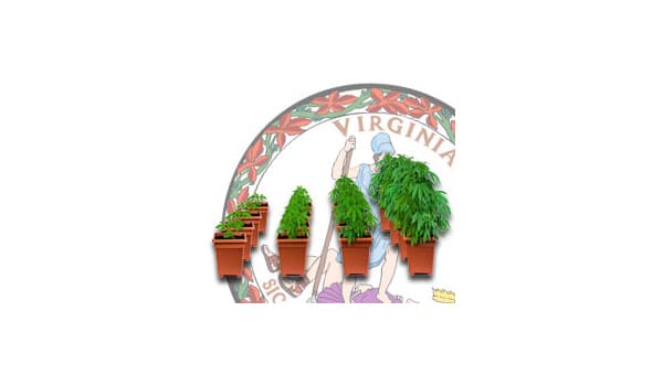 virginia cannabis growing