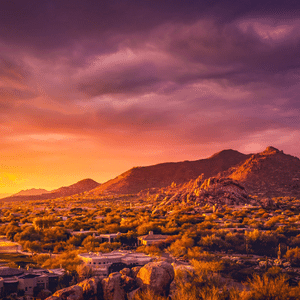 buying marijuana seeds in Arizona